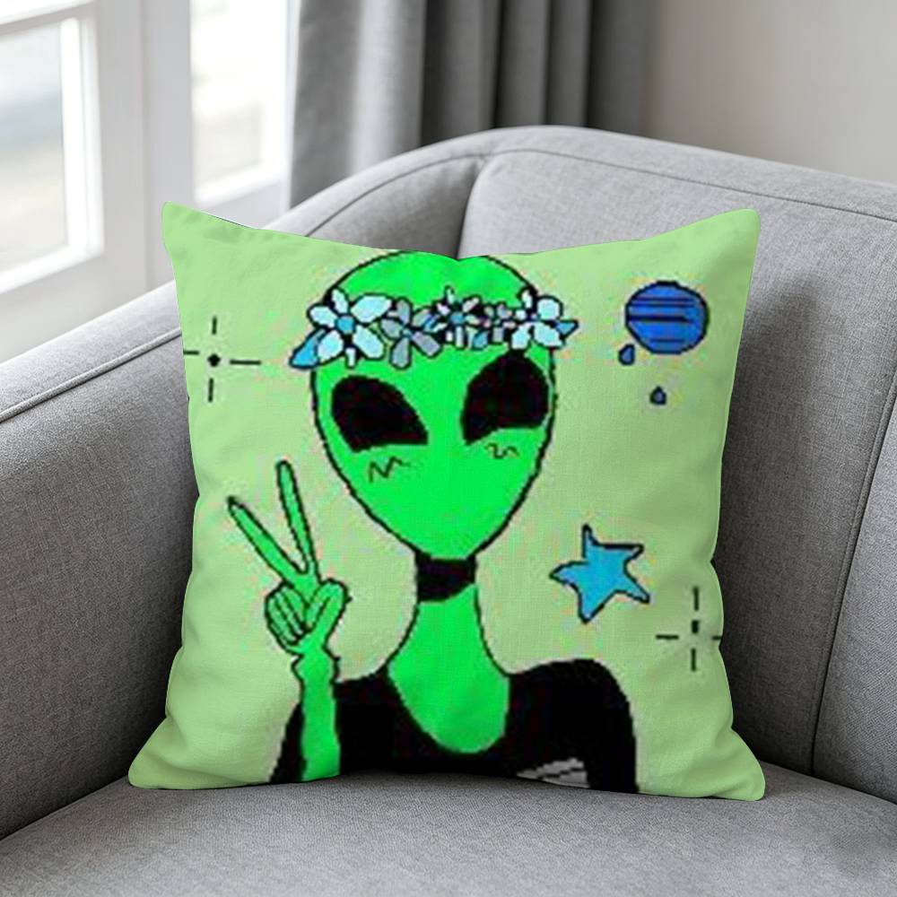 Housse de coussin amusante ave - Home Textiles Definition avis et prix