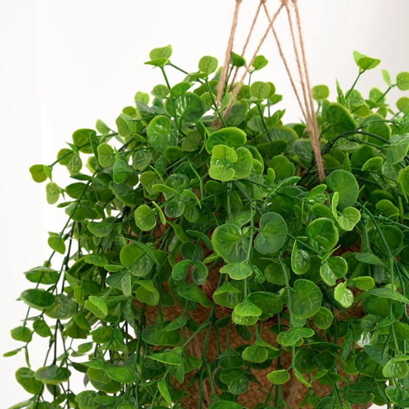 Plantes artificielles de lierr - Xt Home Textiles avis et prix